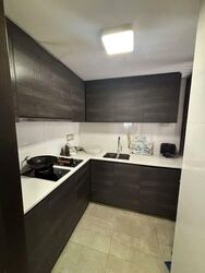 Sims Urban Oasis (D14), Condominium #583346501